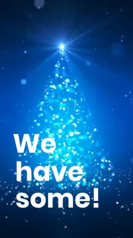 CHRISTMAS MAGIC at 8 seconds