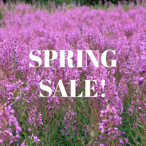 SPRING BEAUTY at 8 seconds