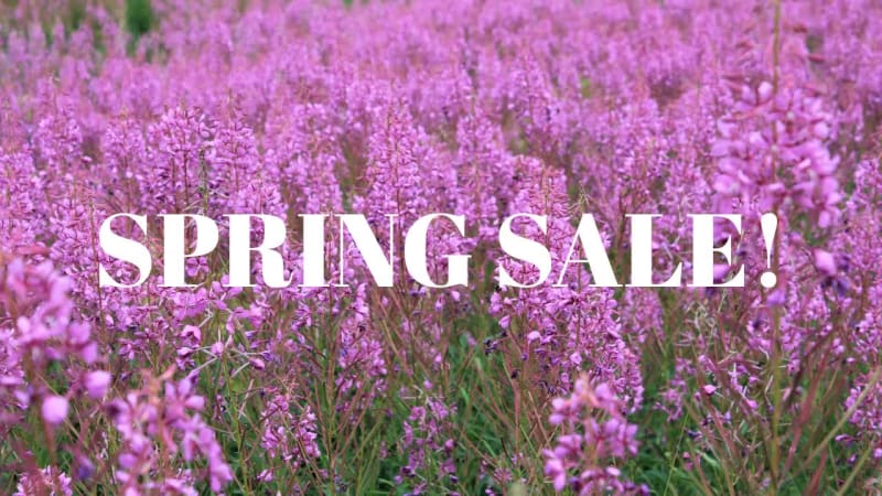SPRING BEAUTY at 8 seconds