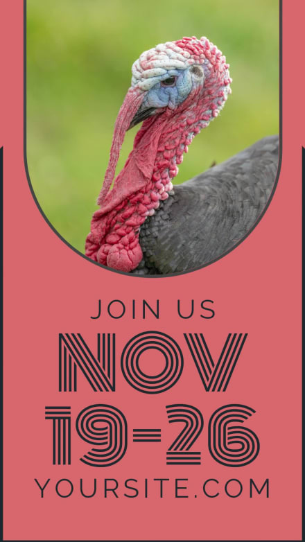 NO TURKEY SALE at 9 seconds