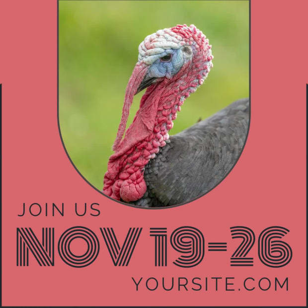 NO TURKEY SALE at 9 seconds