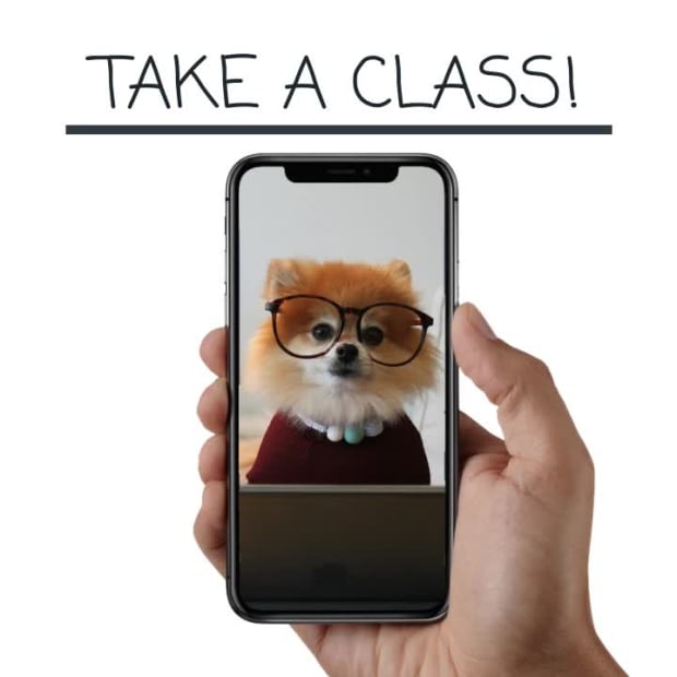 TAKE A CLASS at 9 seconds