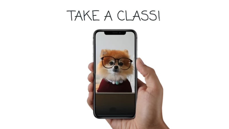 TAKE A CLASS at 9 seconds
