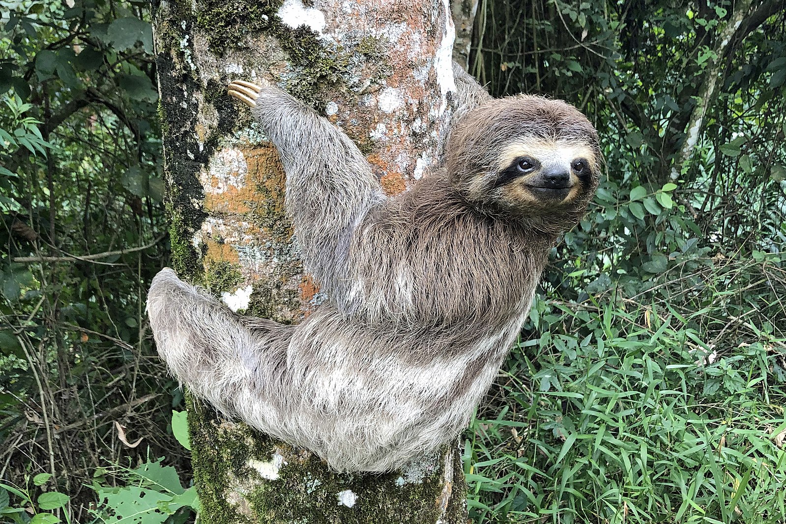 The Most Bizarre German Animal Names The Most Bizarre German Animal Names
