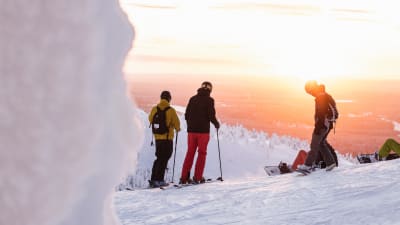 F erbjudande p en gruppresa nu