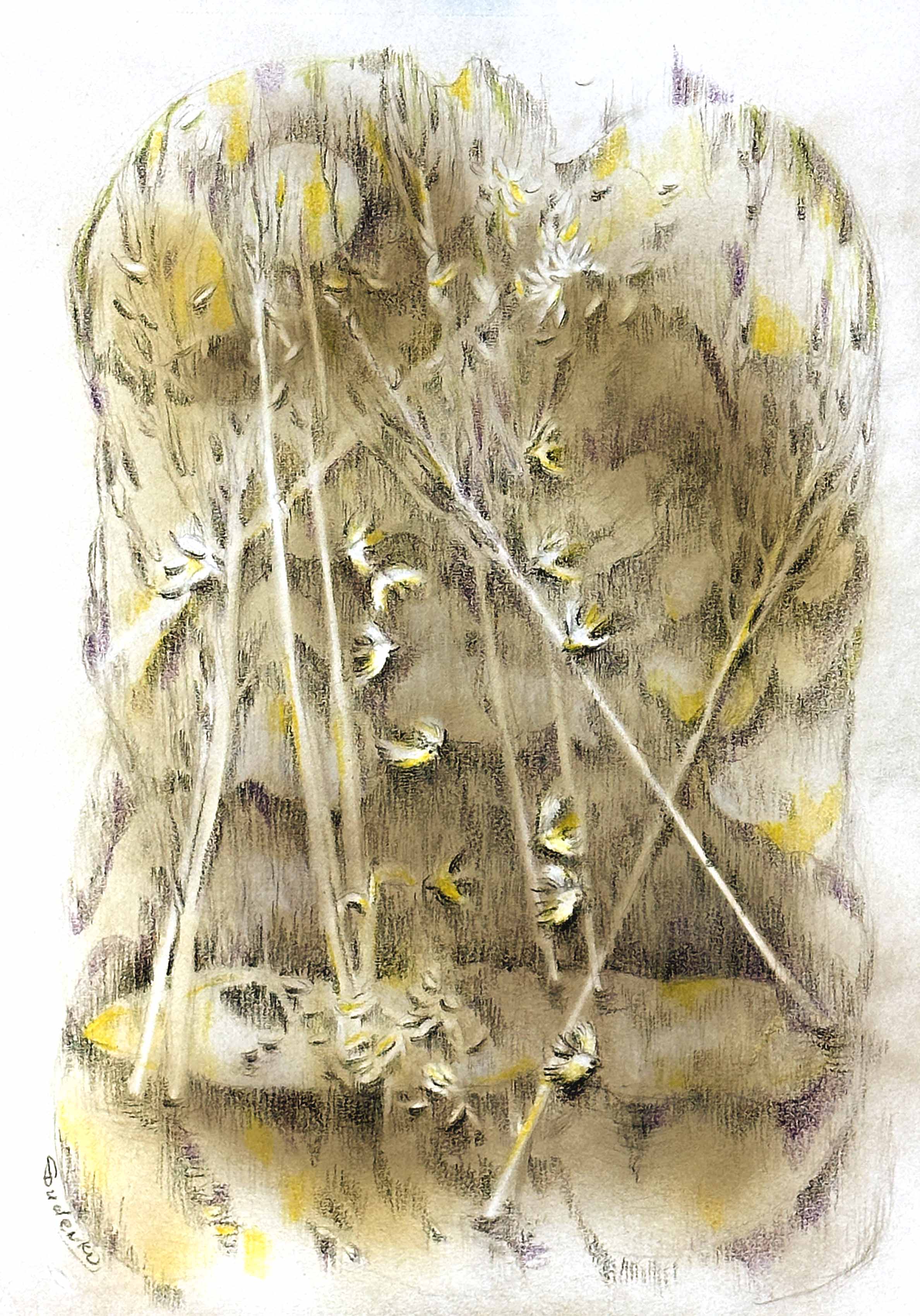 Awakening