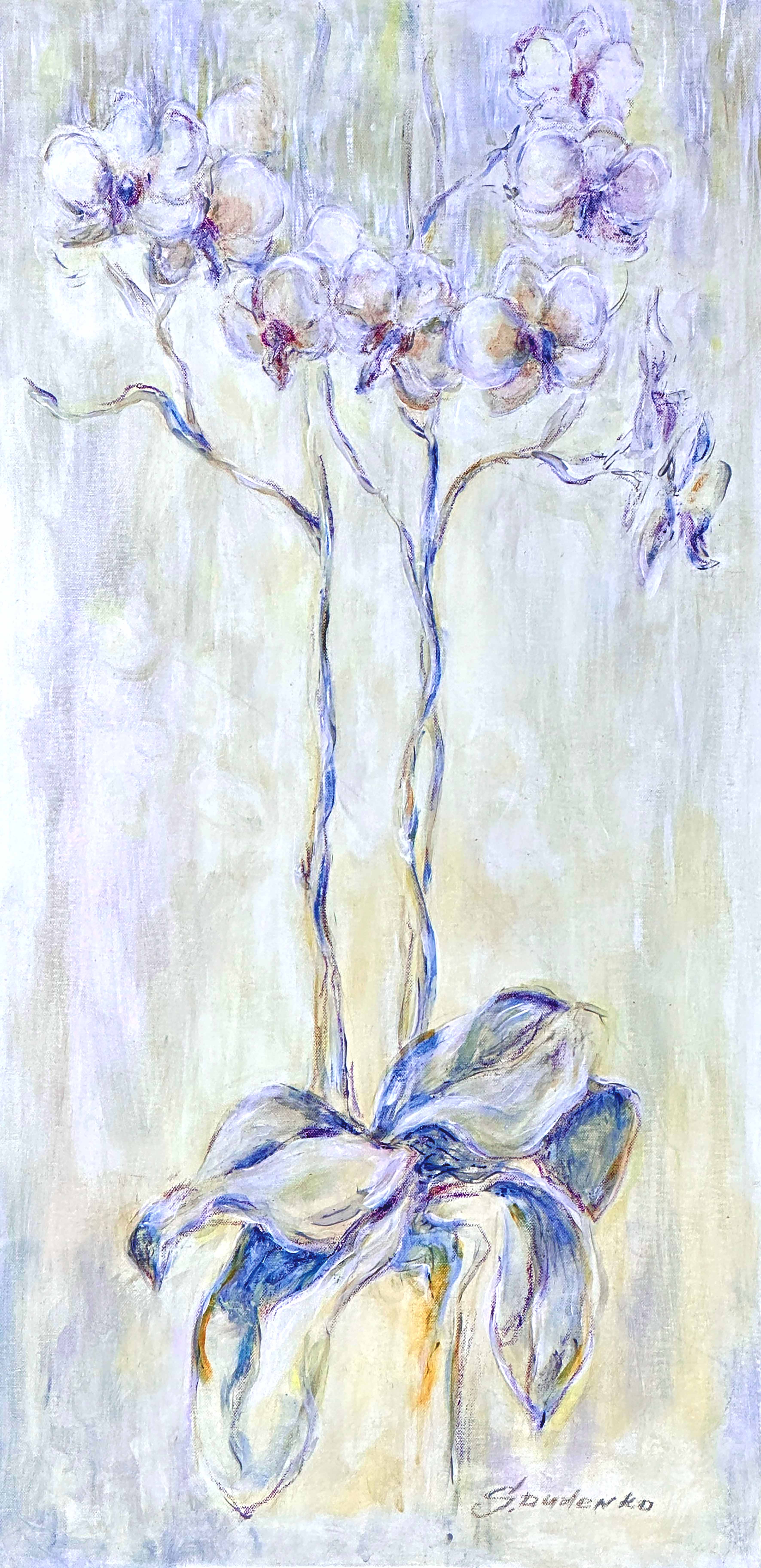 Orchid