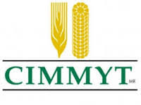 Mechanization Support Specialist – East and South Africa