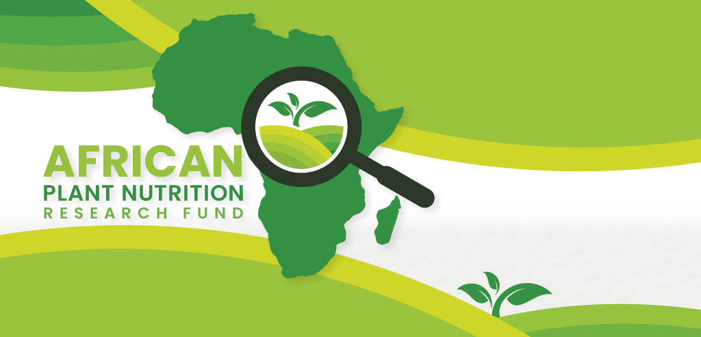 Apply For The African Plant Nutrition Institute Research Fund (APNI) ( 40 000 USD)