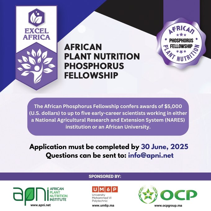 Call for Applications| African Plant Nutrition Phosphorus Fellowship 2025