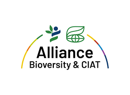 Internship opportunity-Cacao of Excellence Programme| Alliance Bioversity & CIAT