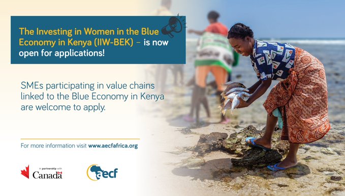 Competition| Investing In Women in the Blue Economy in Kenya (IIW-BEK)| Funding Up To US$ 400,000.