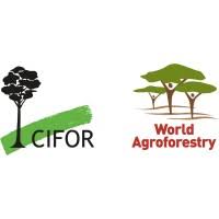 Theme Leader – Sustainable Value Chains and Investments| CIFOR-ICRAF