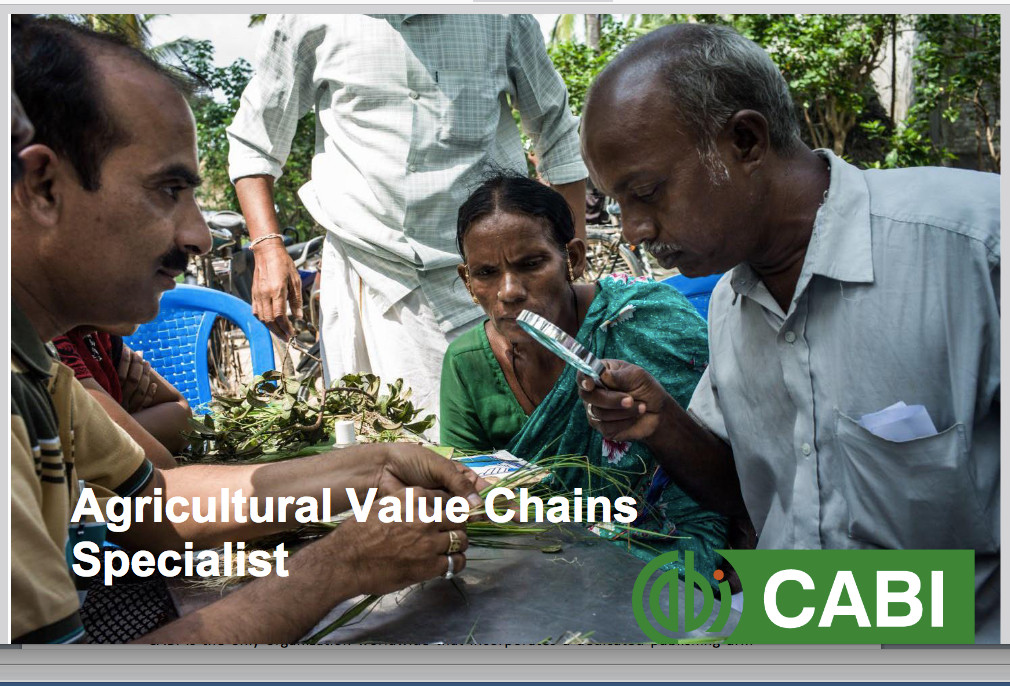 Vacancy for Agricultural Value Chains Specialist| CABI
