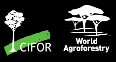 Consultant Roster At CIFOR-ICRAF