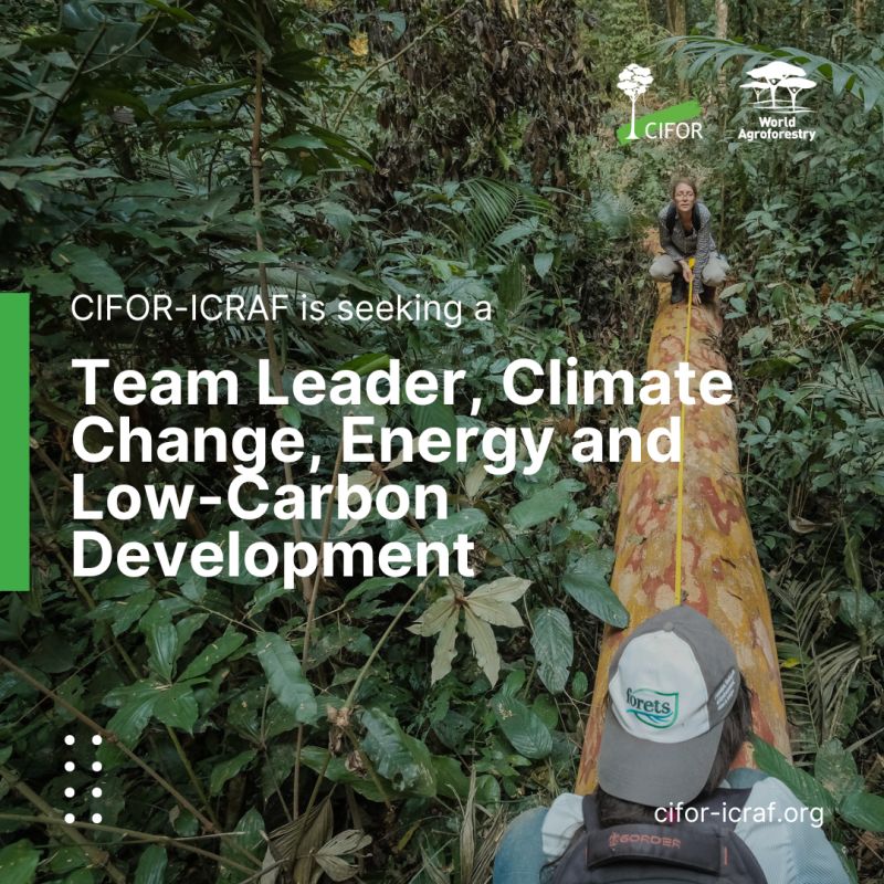Job Opportunity| Team Leader, Climate Change, Energy and Low-Carbon Development| CIFOR-ICRAF