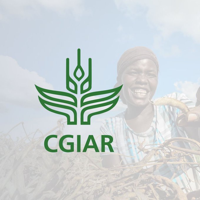 Post-Doctoral Fellow–Cropping Systems Agronomist at CIMMYT