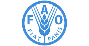 Call for Expression of Interest| Internship Program for FAO headquarters (HQ)