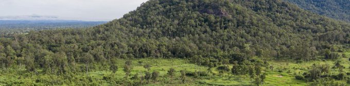 Call for applications: Online course on forest and landscape restoration| Food and Agriculture Organization of the United Nations (FAO)