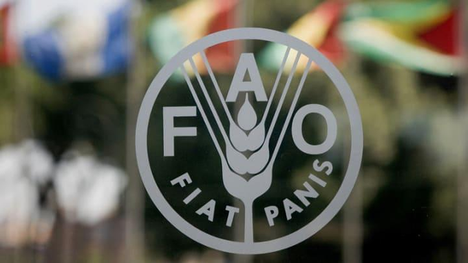 UNFAO Internship Programme For Africa (RAF)