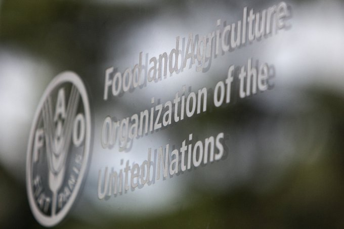 Associate Nutrition Officer With Food and Agriculture Organization of the United Nations (FAO) | Papua New Guinea