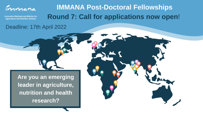 IMMANA Fellowships -Round 7 Call for application (49 800 €)