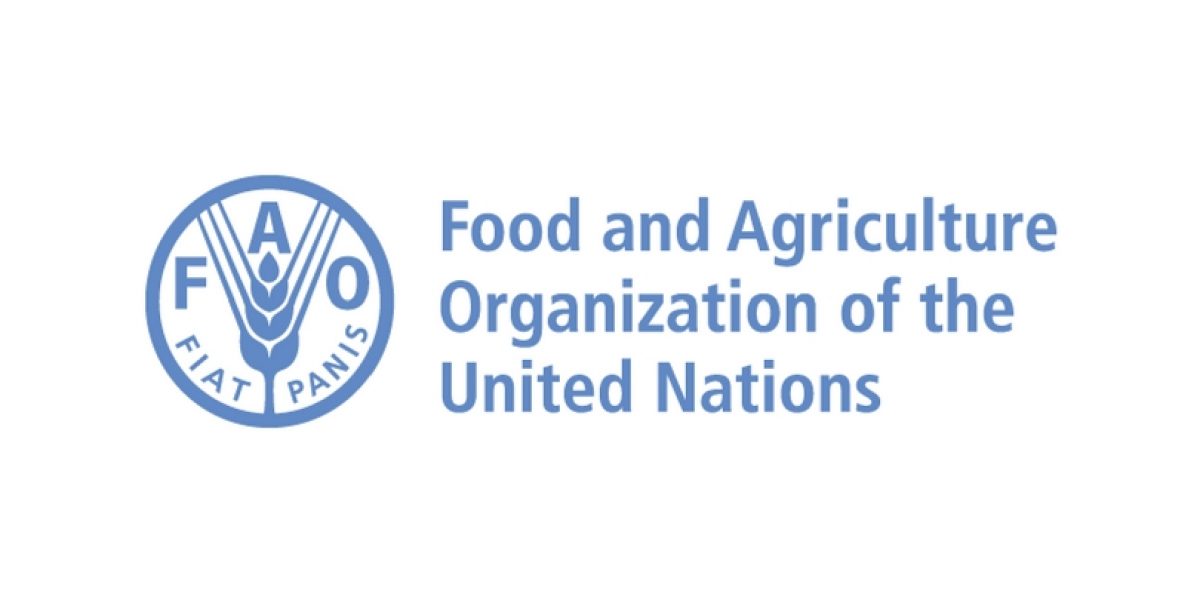 UNFAO  Sub-regional, Country Offices or Headquarters Fellows Program