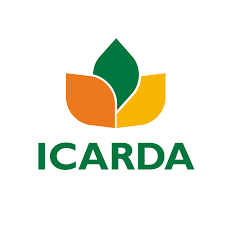 Postdoctoral Fellow in Genomics for Genebanks| International Center for Agricultural Research in the Dry Areas (ICARDA)