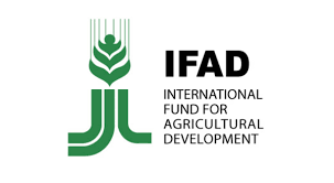 Internship at IFAD