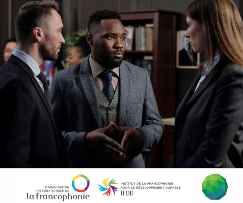 Appel à candidature - Mobilisation d'experts| Institut de la Francophonie pour le développement durable - IFDD