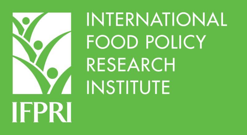 RESEARCH ANALYST I At IFPRI