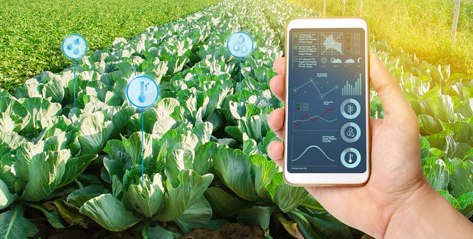 Opportunity For Startups Offering Digital Solutions For Agriculture In Latin Americas and the Caribbean