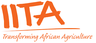 Call For applications: Two PHD Students at IITA