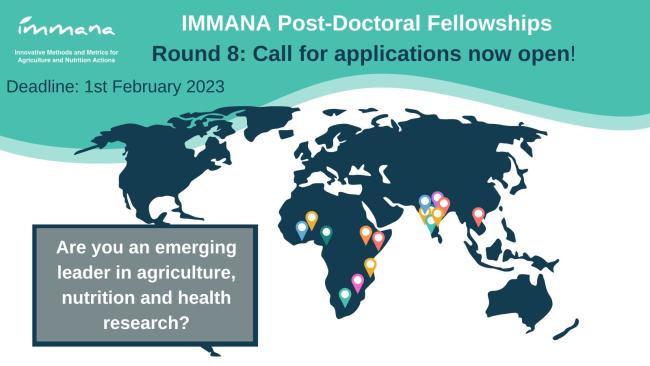 IMMANA Fellowships -Round 8 call for application (Up To 49 800 €)