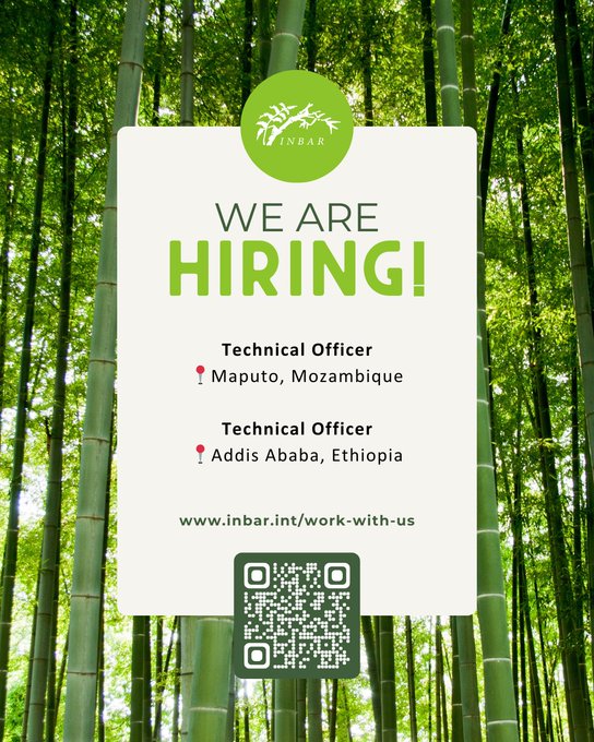 Job Alert: Technical Officer At The International Bamboo and Rattan Organization (INBAR)