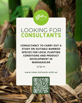 Consultancy Opportunity | International Bamboo And Rattan Organization