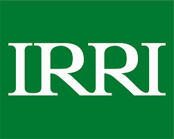 Senior Scientist I - Environment / Crop Modeler With International Rice Research Institute (IRRI)