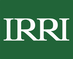 Scientist I - Agricultural Economics:  International Rice Research Institute