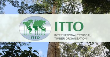 International Tropical Timber Organization Fellowship Programme 2022 (Freezailah Fellowship Fund)