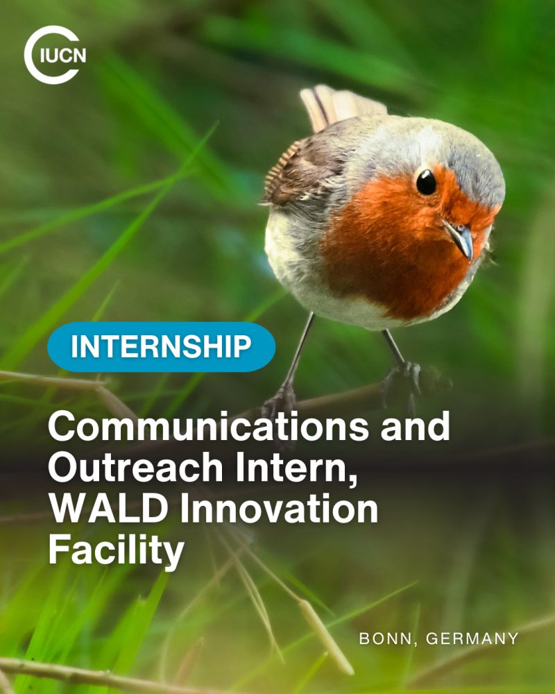 internship - Communications and Outreach Intern, WALD Innovation Facility |  	International Union for Conservation of Nature (IUCN)