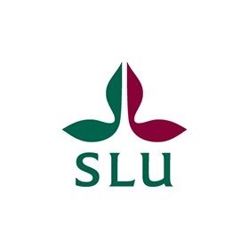 Professor in forest soil science At Swedish University of Agricultural Sciences