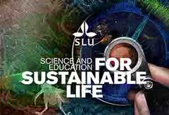 Ph.D. studentship in forest economics| Swedish University of Agricultural Sciences