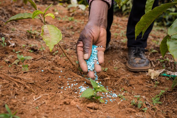 Fully Funded Masters Scholarship On  “Reducing Fertilizer Nitrogen Emissions In Field Using Nitrification And Urease Inhibitor Technologies”