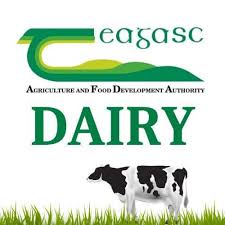 PhD Scholarship Opportunity| Enhancing Meat Quality of Non-Traditional Beef through Dry-Aging: Metabolomics, Sensory Profiling, and Volatile Analysis