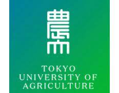 PHD Scholarship at Tokyo University of Agriculture