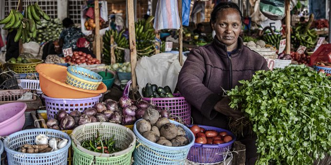 Call for Abstracts for Oral and Poster Presentation| 2023 Food Safety Conference of the African Continental Association for Food Protection (ACAFP)