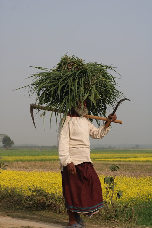 PhD Scholarship on Improvement of biomethane yields from agricultural feedstock| Fully Funded