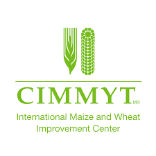 Cropping Systems Agronomist (CWANA Region)| International Maize and Wheat Improvement Center (CIMMYT)