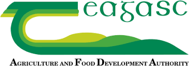 PHD Scholarship: Assessment and Mitigation of Microplastics (MPs) In the Dairy Foods| Teagasc