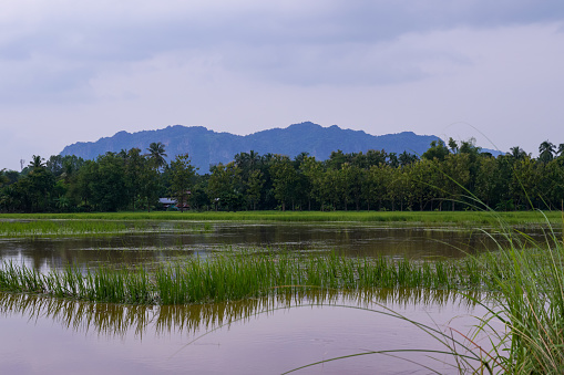 PHD on “Design and implementation of mitigation measure toolbox to disconnect farm roadway runoff nutrient losses from waters at catchment scale”| Fully Funded